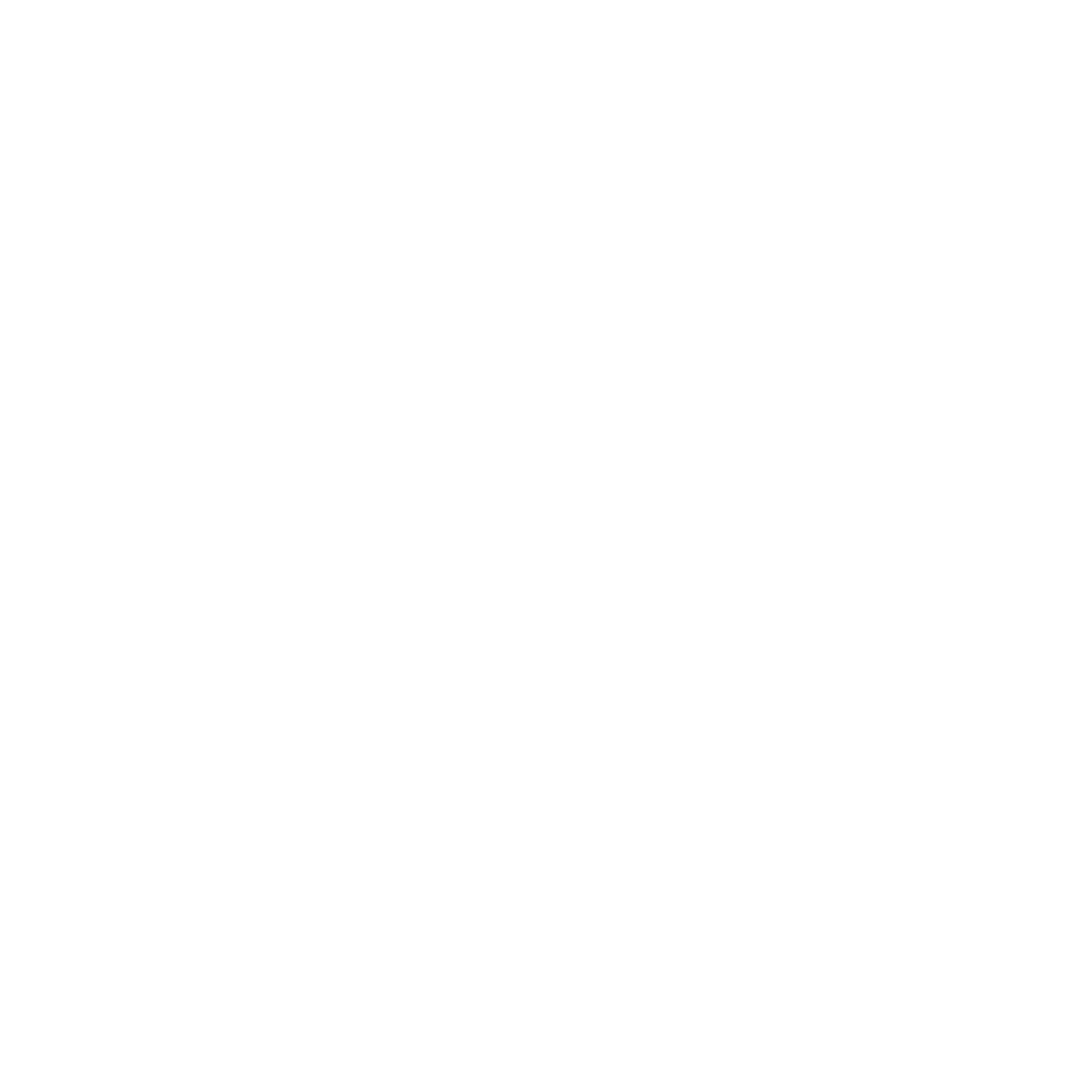 Vigilant logo